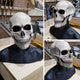 (🔥Early Halloween Promotions-50% OFF)Full Head Skull mask/helmet with Movable Jaw