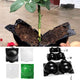 5PCS Plant Root Growing Box
